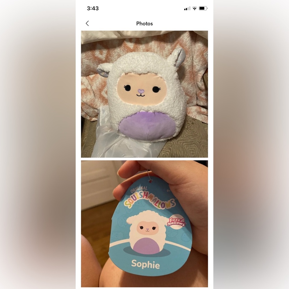 Squishmallow Sophie the lamb